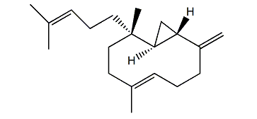 Pacificin I